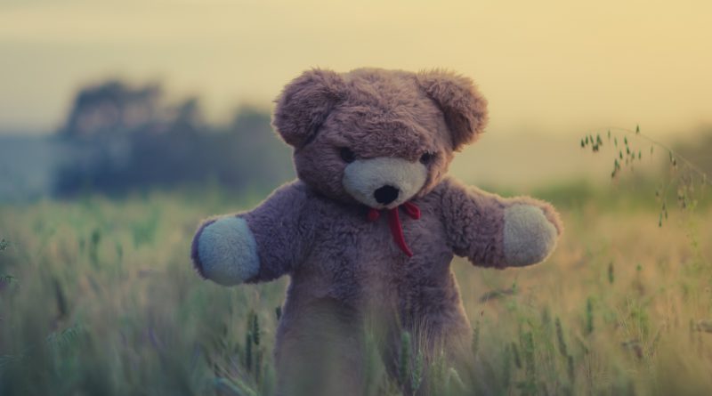 How The 'Teddy Bear' Got It's Name
