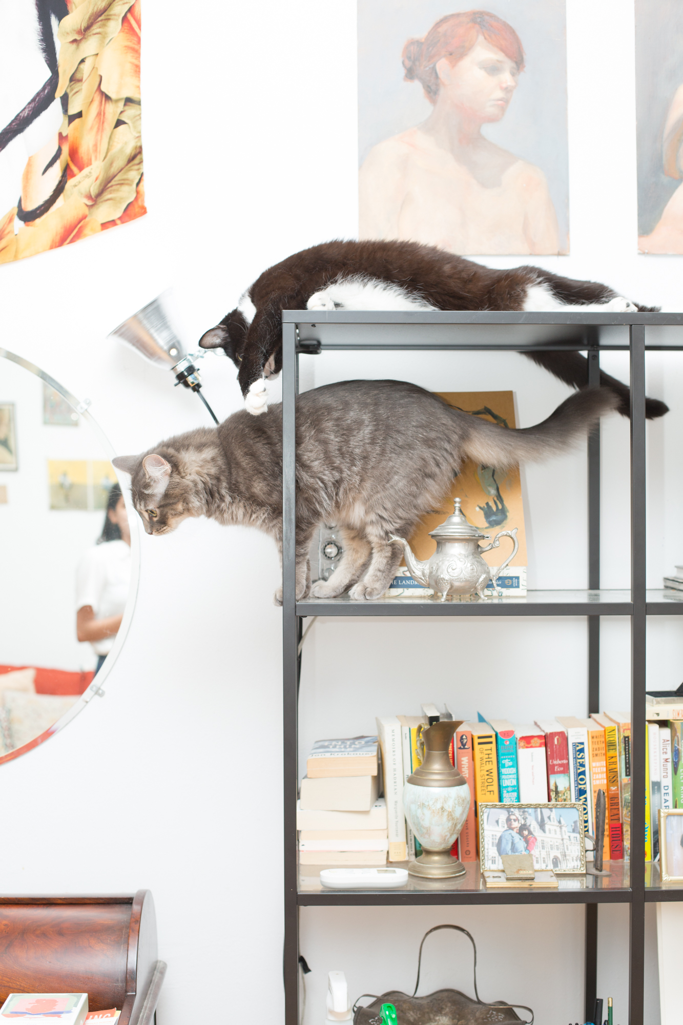 Why Cats Love A High Protein Diet | PeopleHype