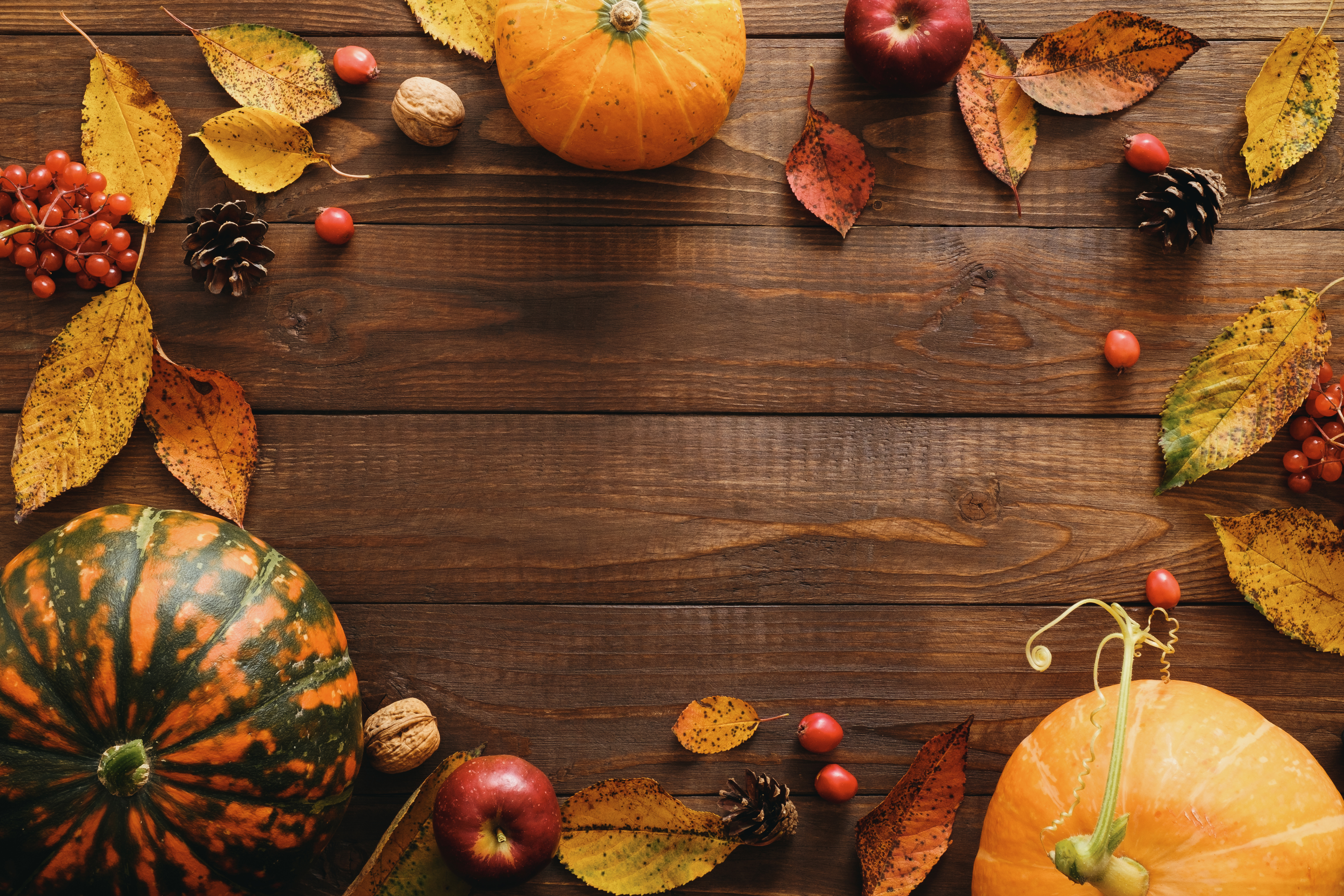 How Are American And Canadian Thanksgiving Different Peoplehype