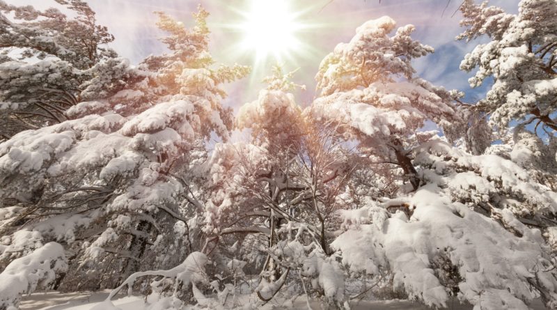 what is the winter solstice