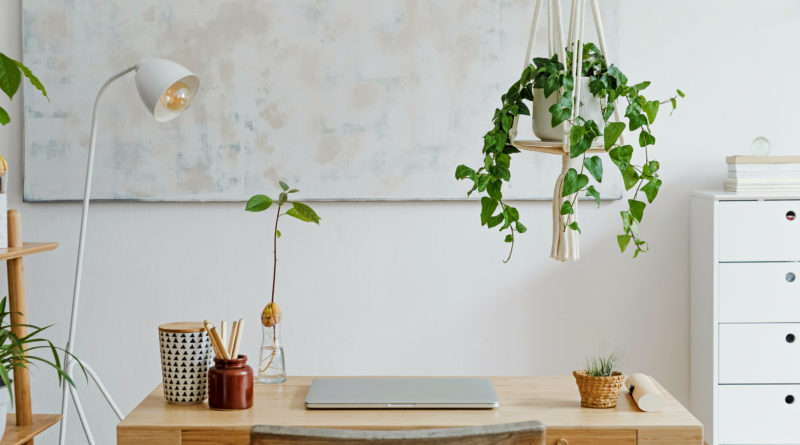 How You Can Safely (and Easily) Hang Plants from Your Ceiling