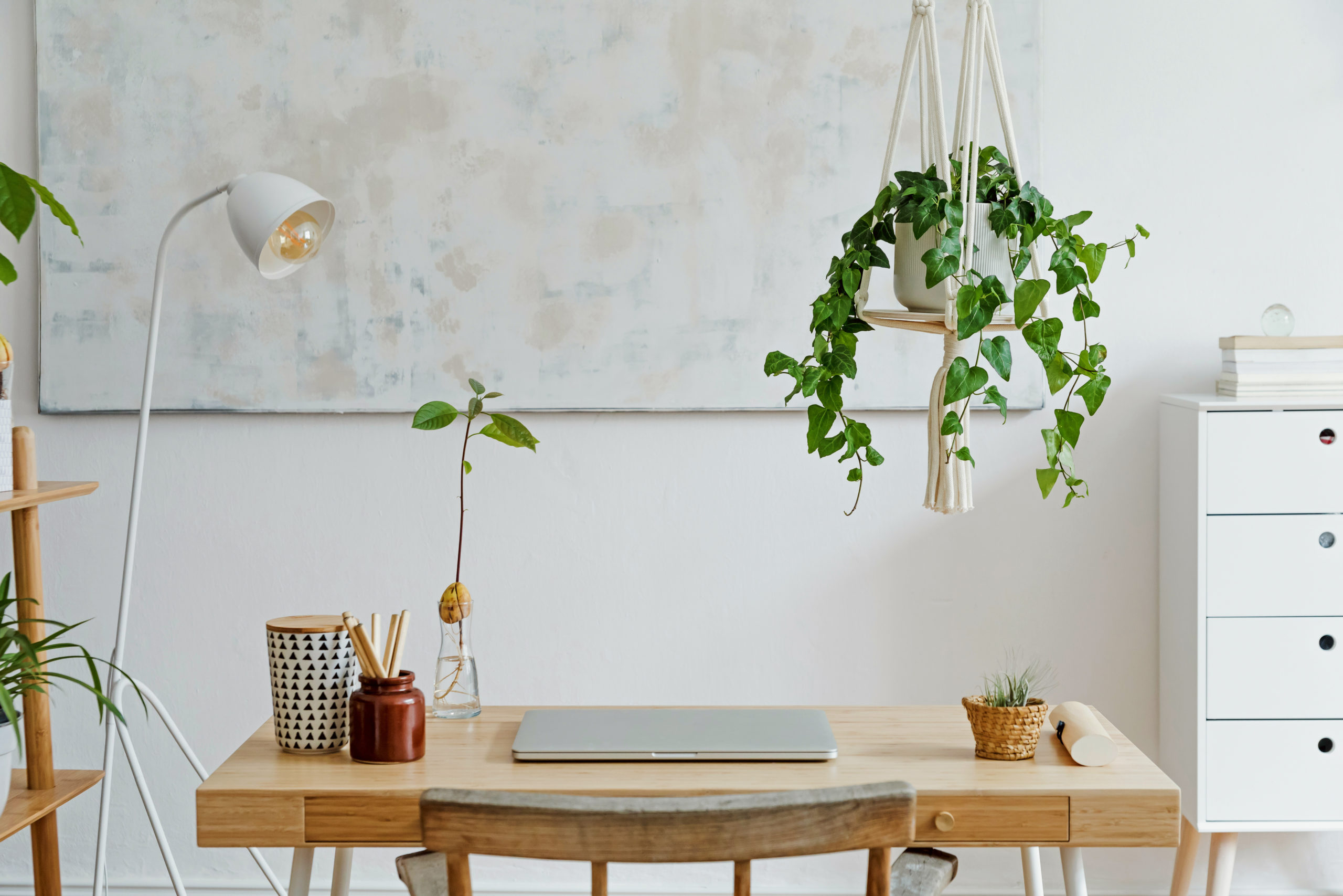 How To Safely (and Easily) Hang Plants from Your Ceiling PeopleHype