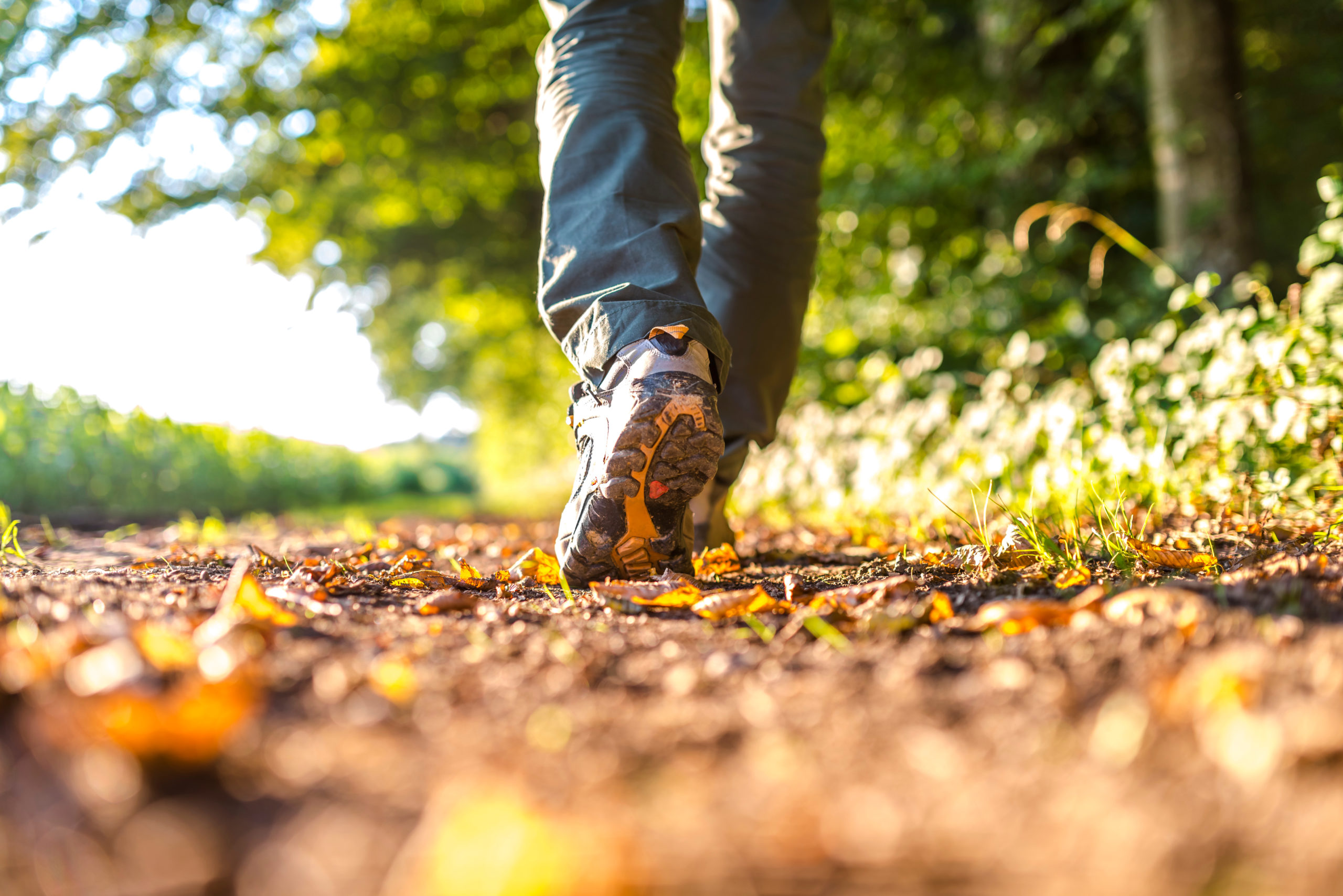 4 Reasons To Wear Hiking Shoes on Your Next Hike PeopleHype